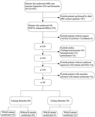 Preoperative radiomics model using gadobenate dimeglumine-enhanced magnetic resonance imaging for predicting β-catenin mutation in patients with hepatocellular carcinoma: A retrospective study